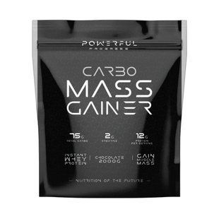 Carbo Mass Gainer - 2000g Strawberry 100-47-7669347-20 фото