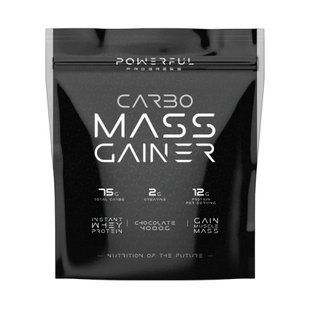 Carbo Mass Gainer - 4000g Chocolate 100-38-8765859-20 фото