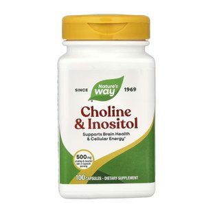 (20.02 Очікування) Choline & Inositol - 100 caps pre_2022-10-1076 фото