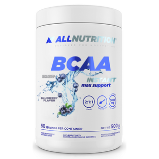 BCAA Max Support Instant - 500g Bllueberry 100-94-1223763-20 фото