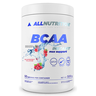 BCAA Max Support Instant - 500g Raspberry 100-17-1709423-20 фото