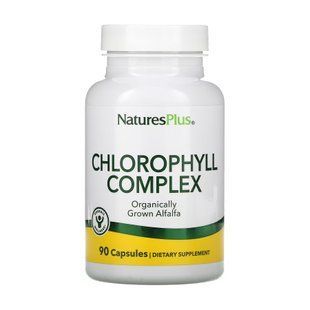 Chlorophyll 600mg - 90 vcaps 2023-10-3226 фото